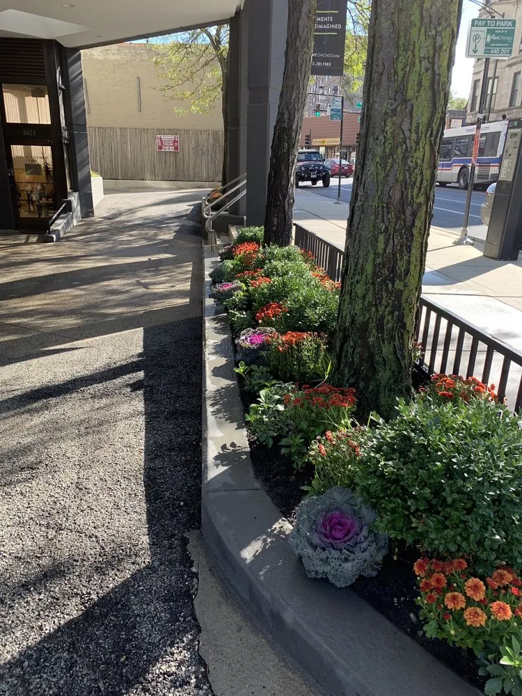 Local garden landscaping in Chicago, IL by City Condo Care