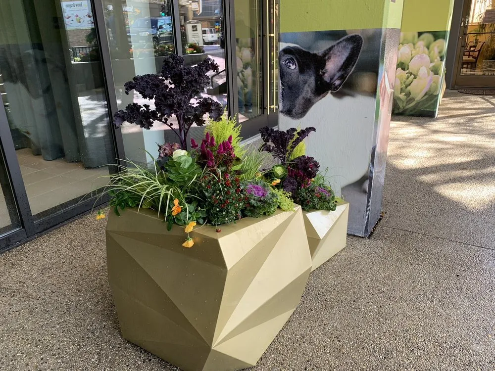 Trusted residential landscaping in Chicago, IL - City Condo Care