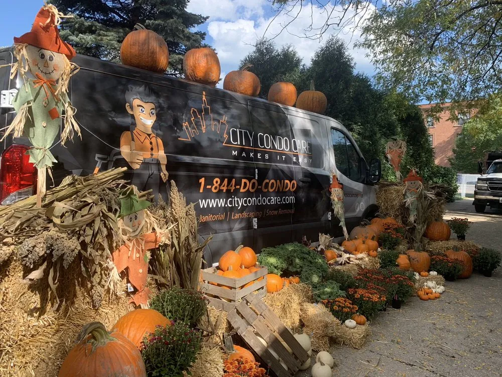 Expert yard maintenance in Chicago, IL by City Condo Care