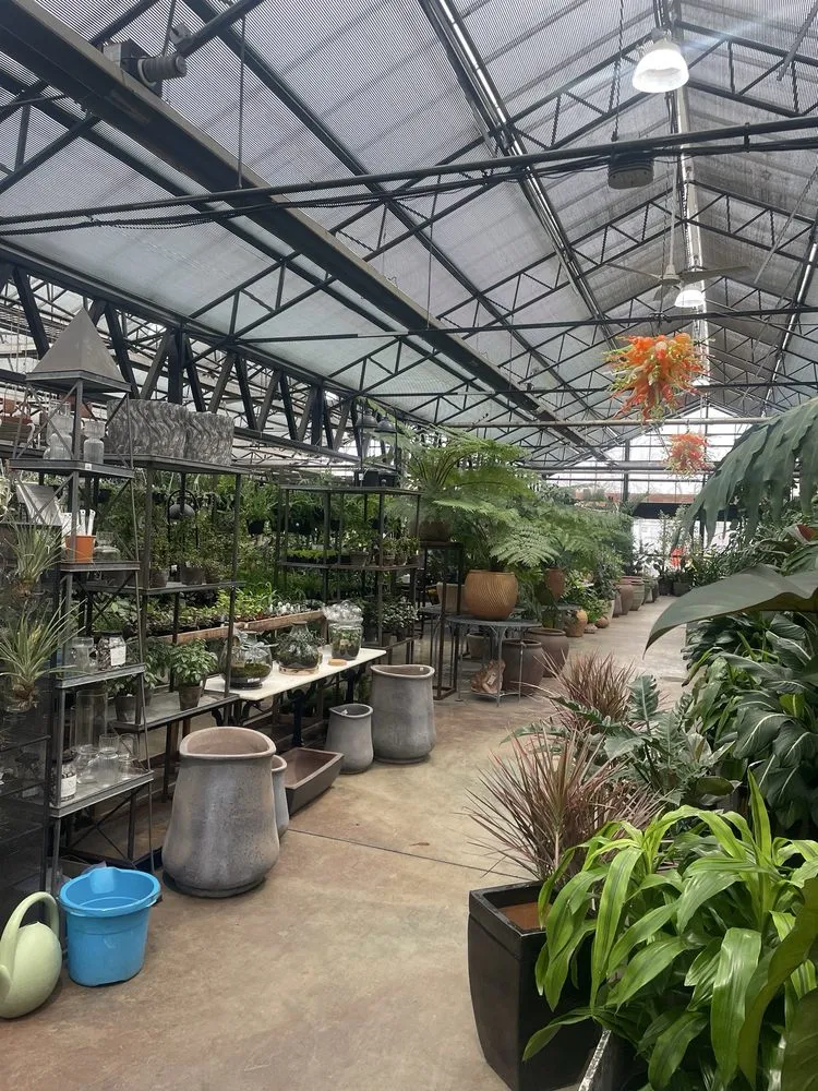 Affordable outdoor landscaping in Chicago, IL by City Escape Garden & Design Center