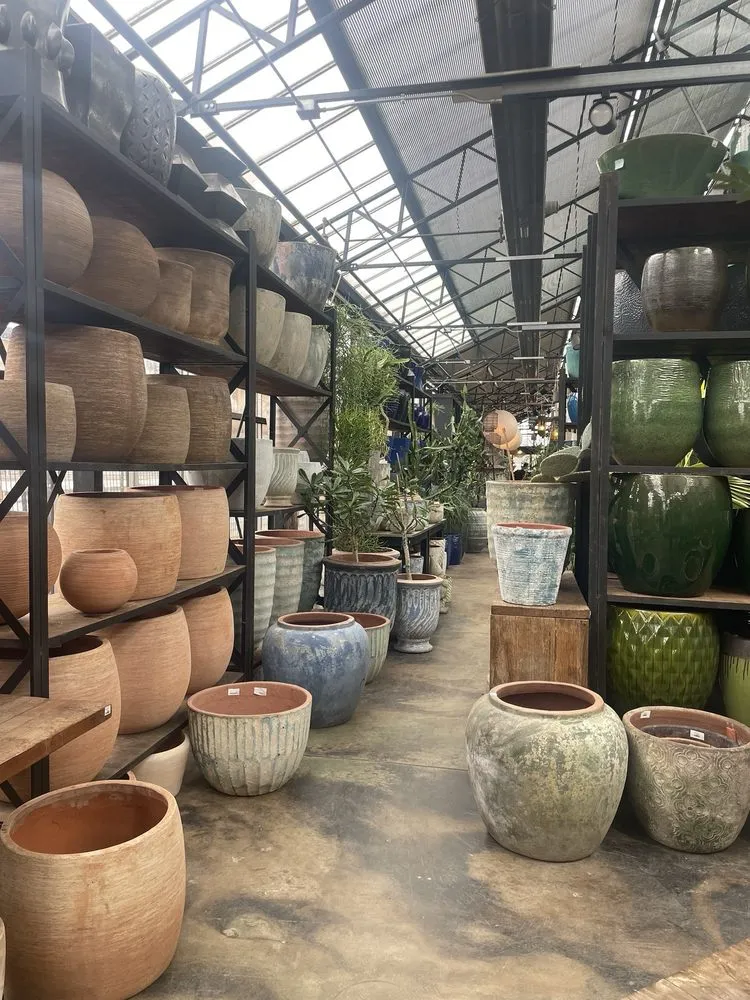 Reliable yard cleanup service in Chicago, IL by City Escape Garden & Design Center