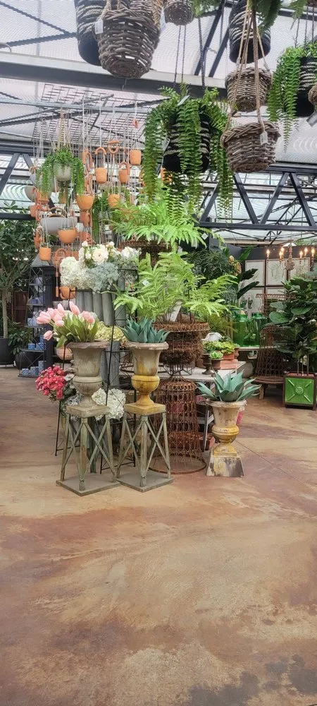 Expert yard cleanup service in Chicago, IL by City Escape Garden & Design Center