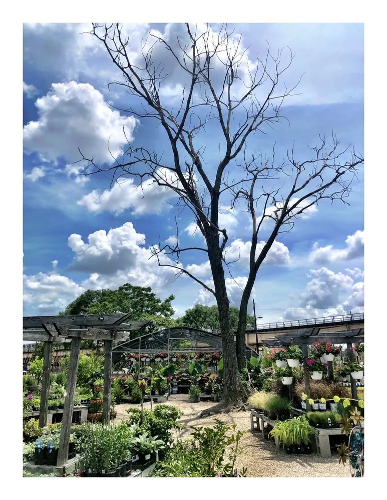 Expert lawn mowing service near you across Chicago, IL - City Escape Garden & Design Center