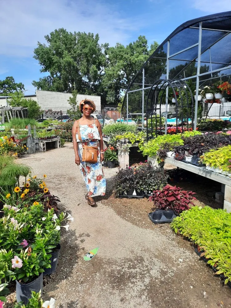 Expert landscape design in Chicago, IL by City Escape Garden & Design Center