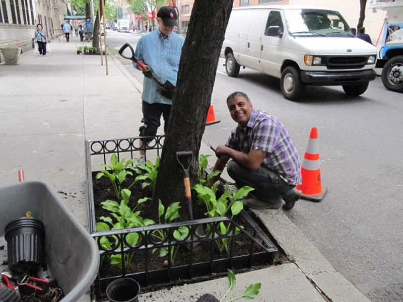 Custom garden landscaping in Long Island City, NY by City Gardens