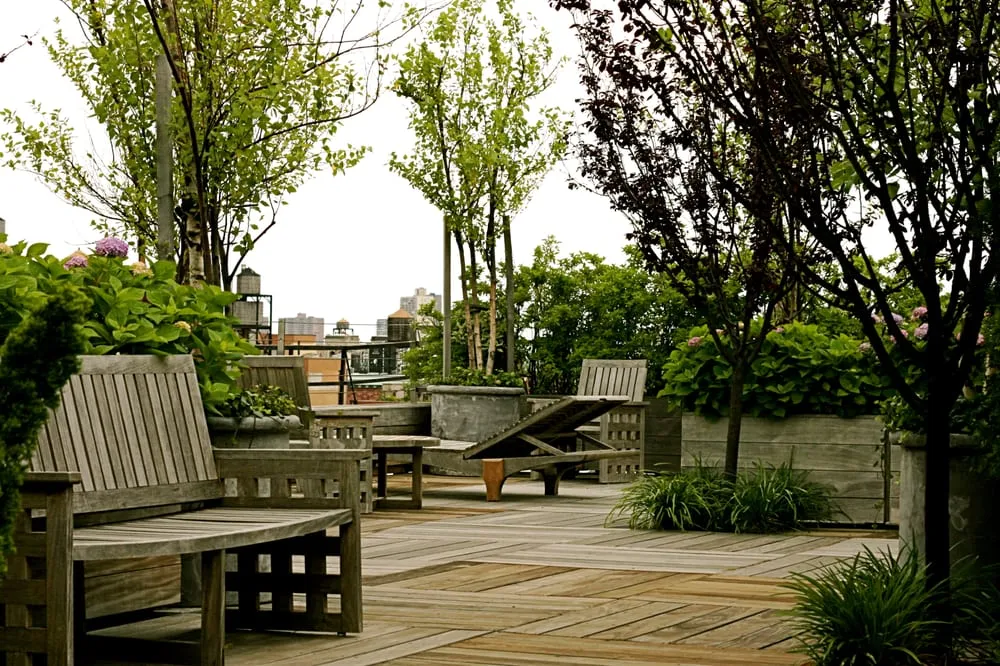 Professional yard cleanup service experts serving Long Island City, NY - City Gardens