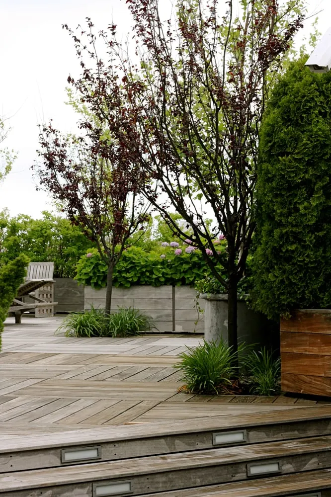 Top-rated lawn mowing service for residential properties in Long Island City, NY by City Gardens