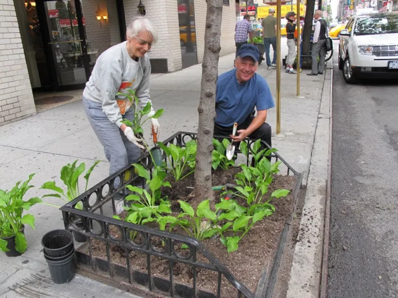 Trusted yard cleanup service with custom design across Long Island City, NY - City Gardens