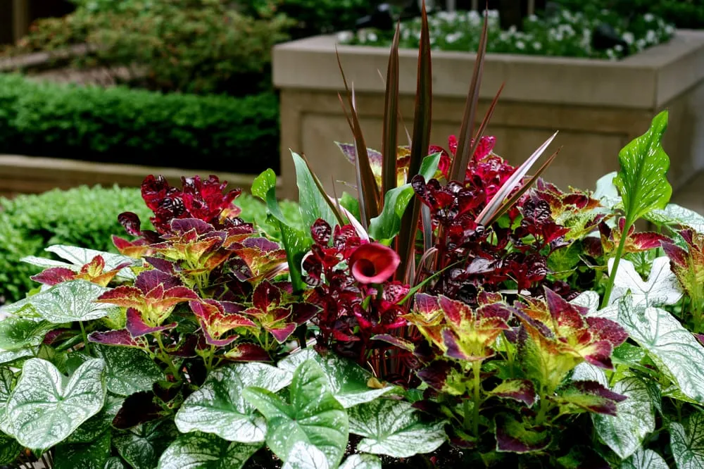 Reliable lawn mowing service in Long Island City, NY by City Gardens