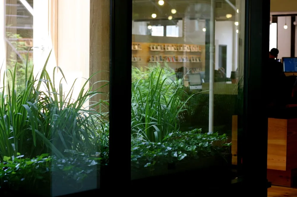 Affordable garden landscaping experts serving Long Island City, NY - City Gardens