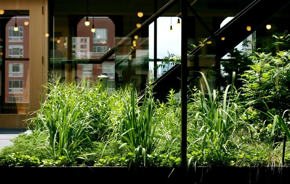 Local garden landscaping in Long Island City, NY by City Gardens