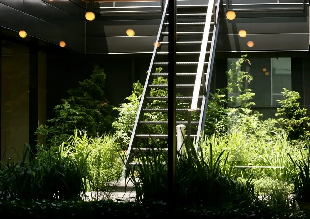 Top-rated residential landscaping in Long Island City, NY - City Gardens