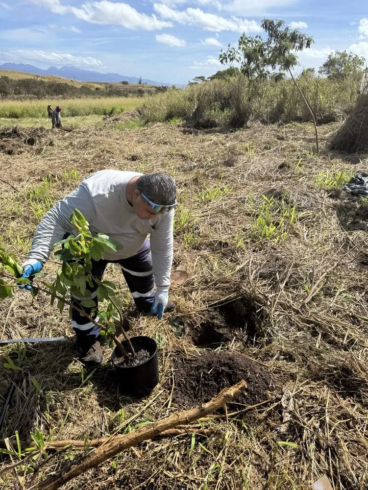 Top-rated landscaping services experts serving Ewa Beach, HI - City Green Care