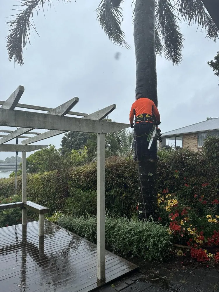 Local landscaping services in Ewa Beach, HI by City Green Care