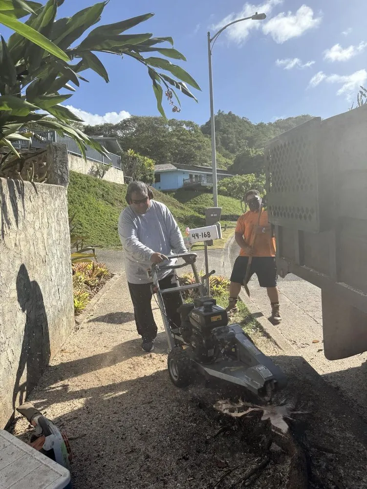 Expert landscaping services experts serving Ewa Beach, HI - City Green Care