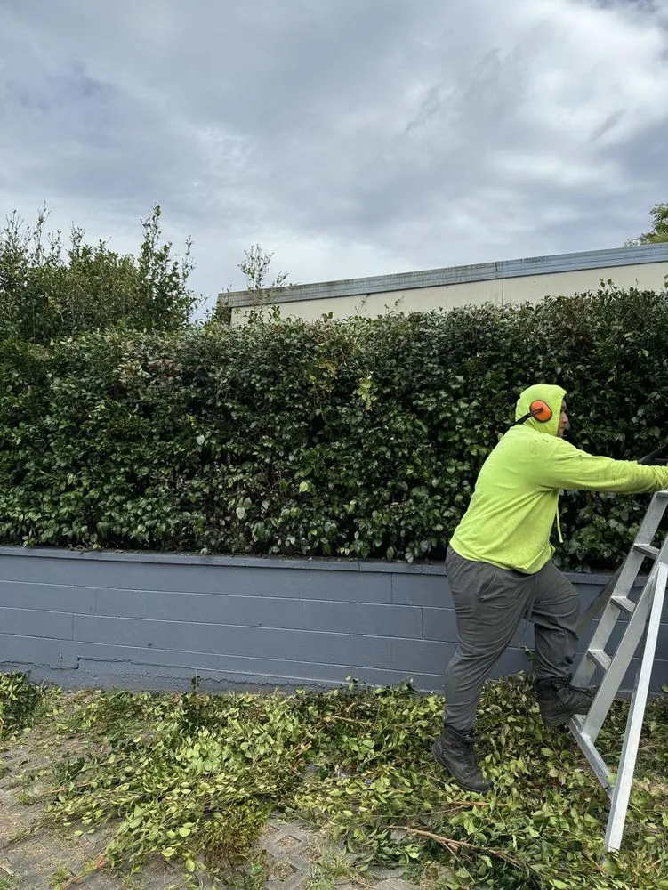 Custom lawn care service with custom design across Ewa Beach, HI - City Green Care