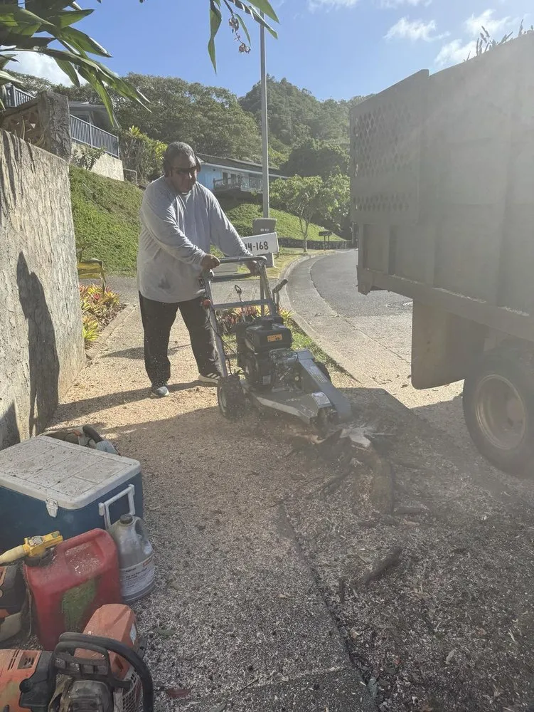 Expert yard cleanup service in Ewa Beach, HI by City Green Care