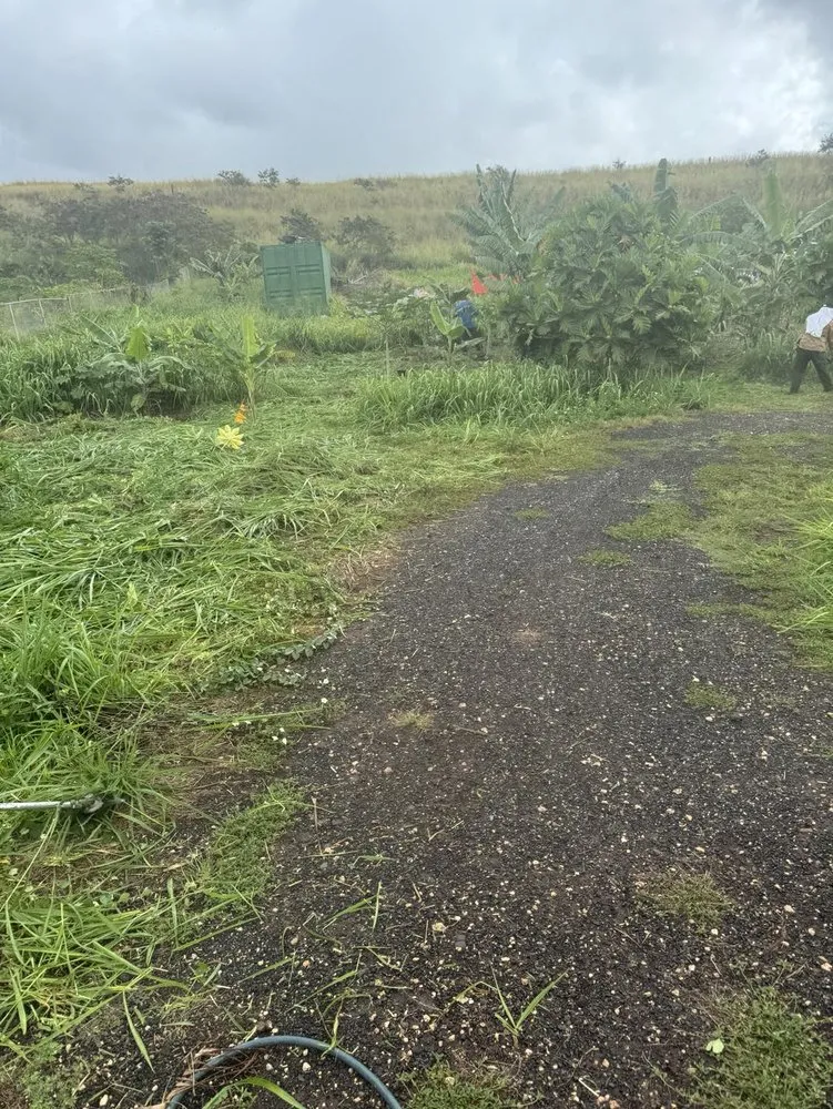 Affordable lawn care service for homes across Ewa Beach, HI - City Green Care
