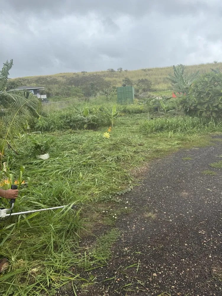 Top-rated yard maintenance in Ewa Beach, HI - City Green Care