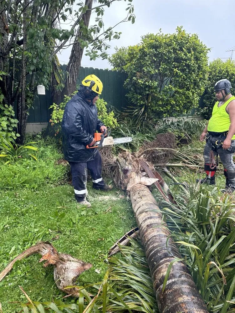 Reliable outdoor landscaping in Ewa Beach, HI by City Green Care