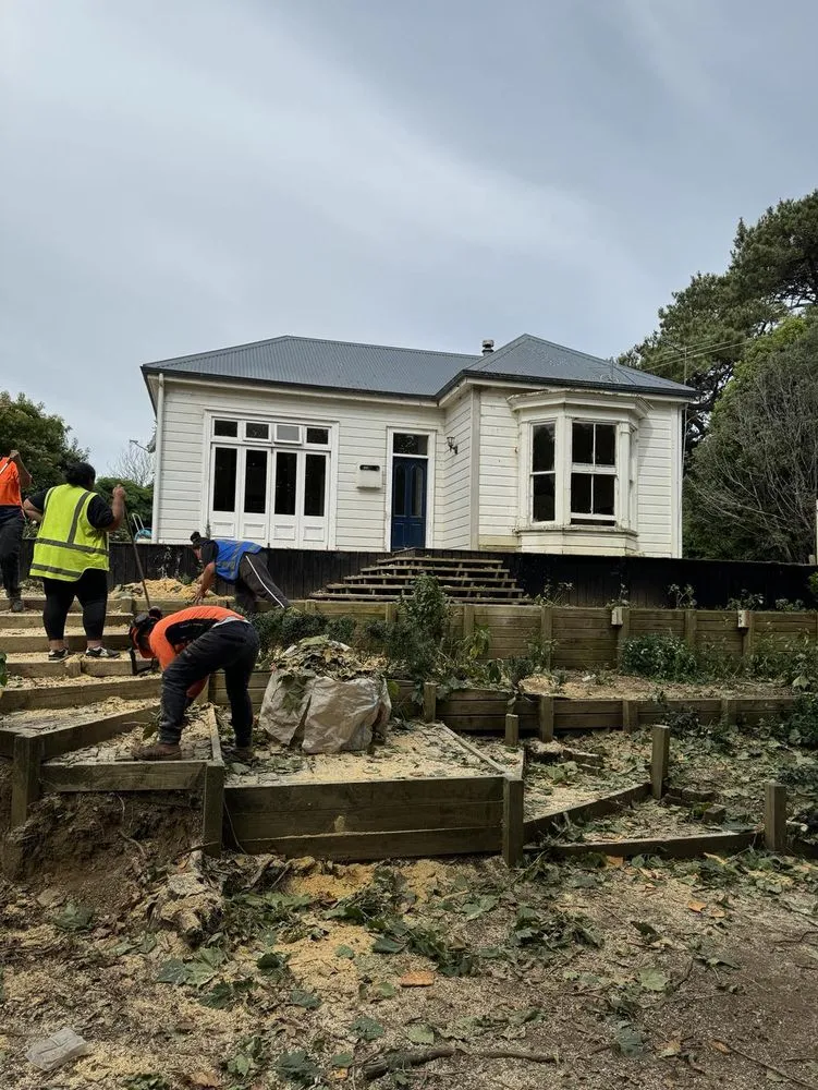 Reliable landscape installation experts serving Ewa Beach, HI - City Green Care