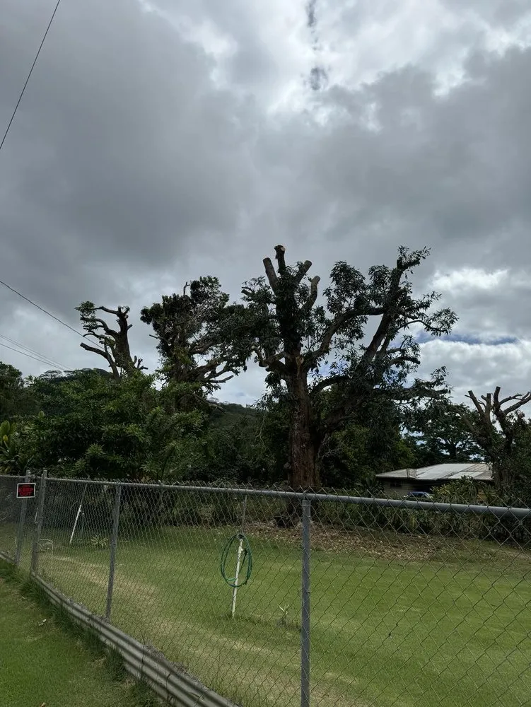 Top-rated garden landscaping in Ewa Beach, HI by City Green Care