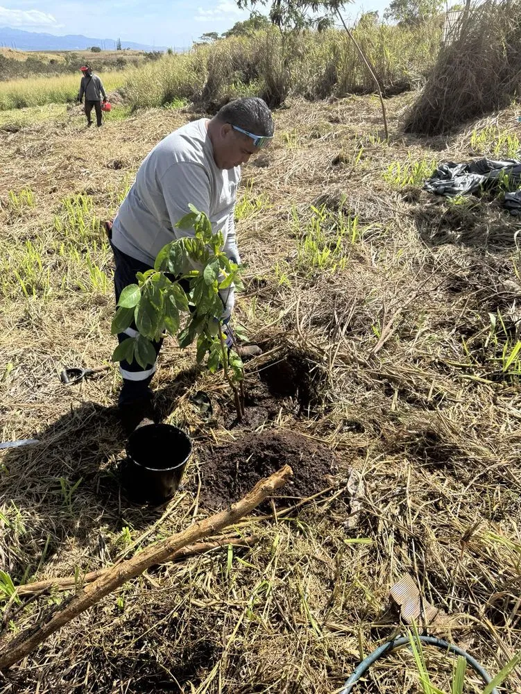 Expert landscape installation for homes in Ewa Beach, HI by City Green Care
