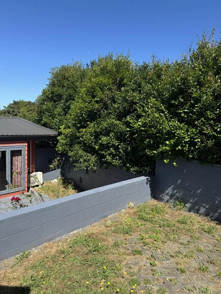 Affordable lawn care service in Ewa Beach, HI - City Green Care