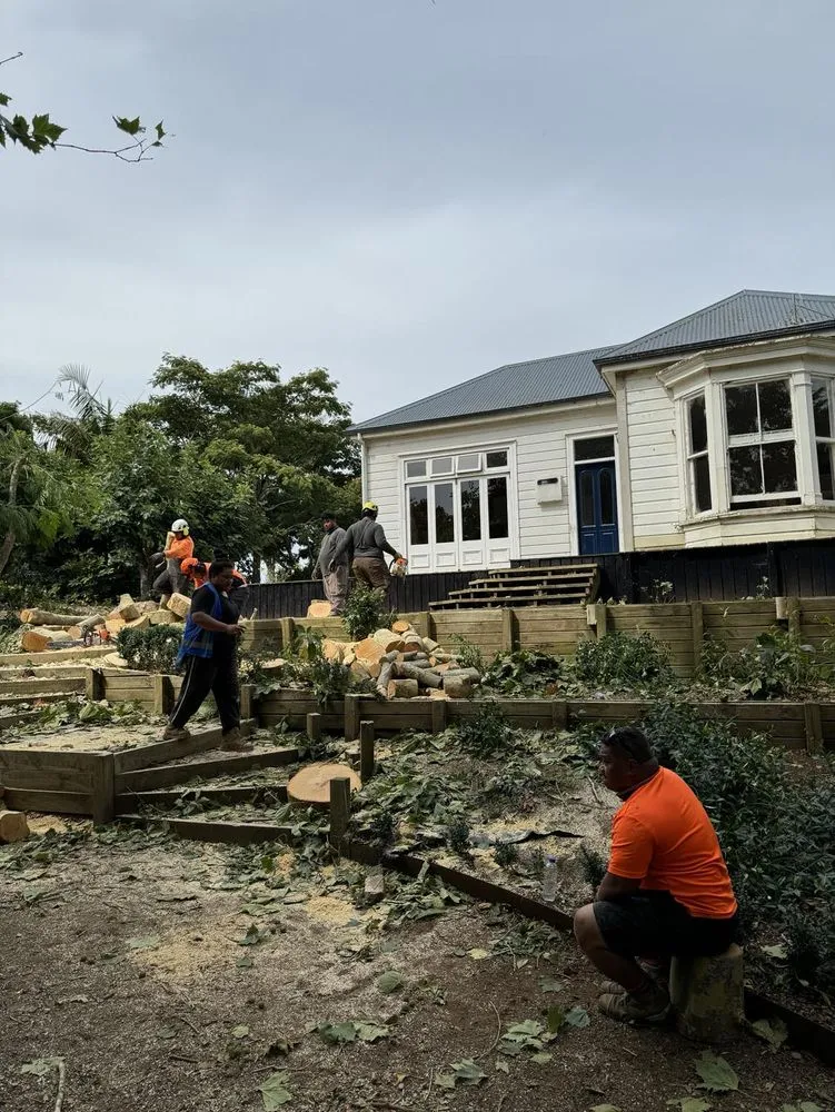 Affordable yard cleanup service in Ewa Beach, HI - City Green Care