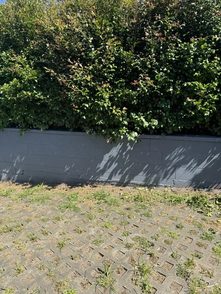 Top-rated yard maintenance experts serving Ewa Beach, HI - City Green Care