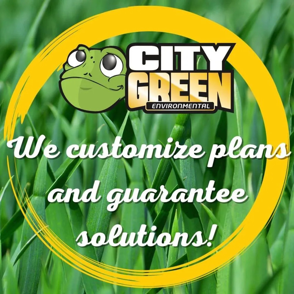 Affordable landscape design in Fort Myers, FL - City Green Environmental