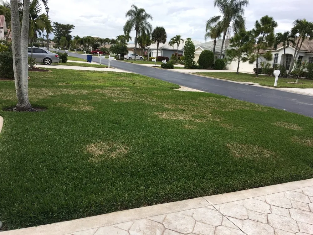 Custom lawn mowing service for outdoor upgrades across Fort Myers, FL - City Green Environmental