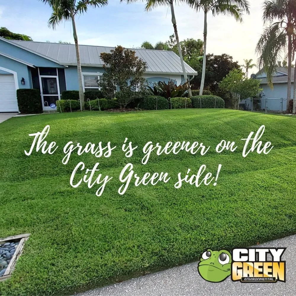 Top-rated landscape installation in Fort Myers, FL - City Green Environmental