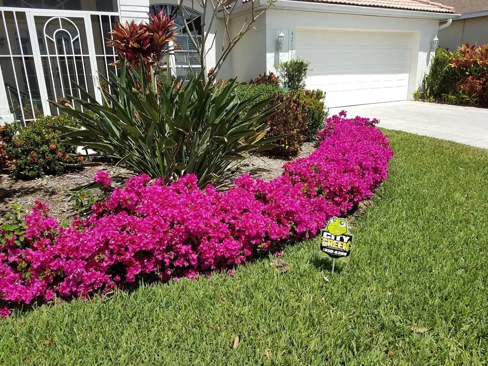 Professional yard maintenance in Fort Myers, FL - City Green Environmental