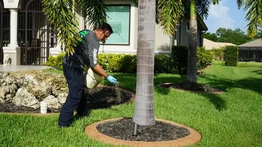 Expert garden landscaping in Fort Myers, FL by City Green Environmental