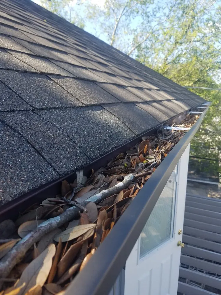 Trusted landscape installation experts serving Lutz, FL - City Gutter