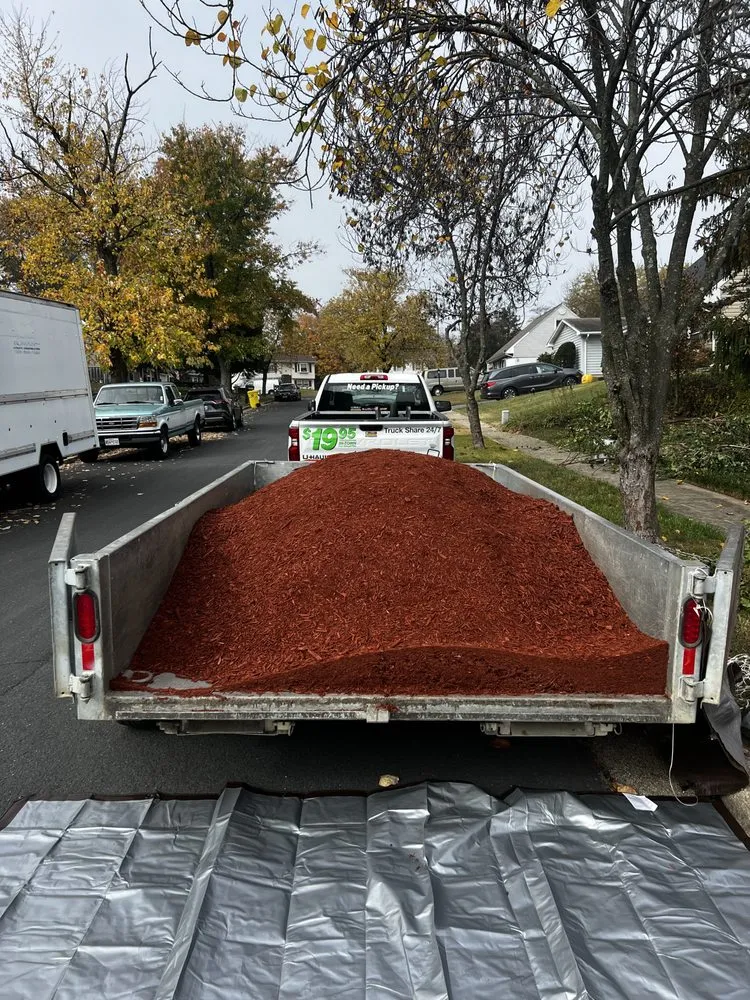 Local landscape installation for outdoor upgrades across Chillum, MD - City Landscape