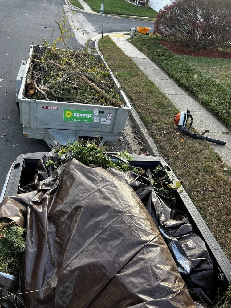 Trusted yard cleanup service in Chillum, MD by City Landscape