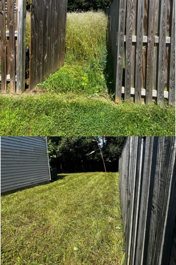 Reliable lawn care service in Chillum, MD by City Landscape