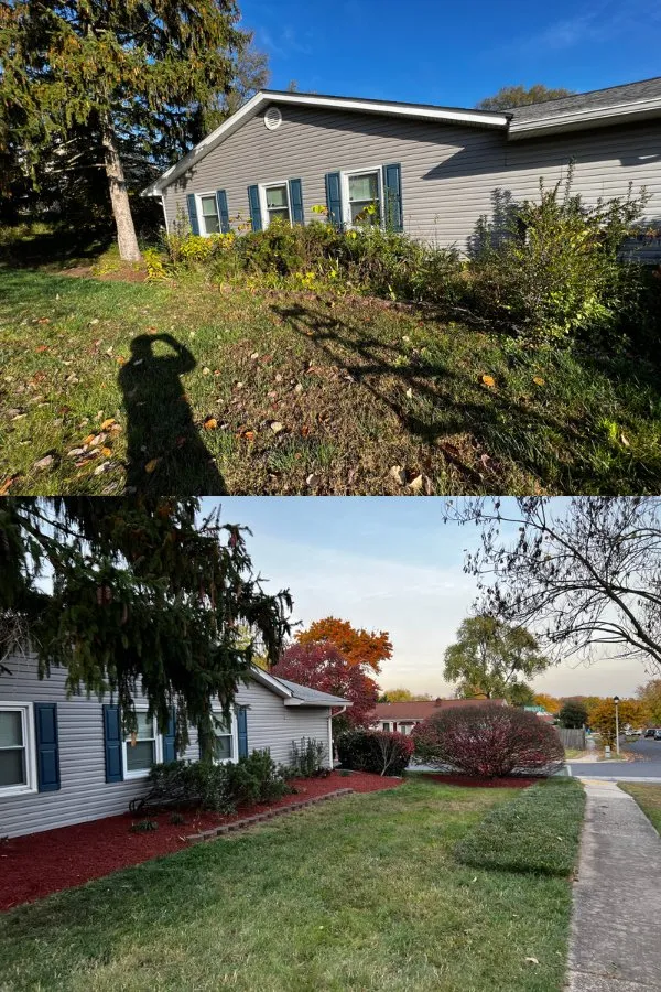 Affordable outdoor landscaping for year-round maintenance in Chillum, MD by City Landscape