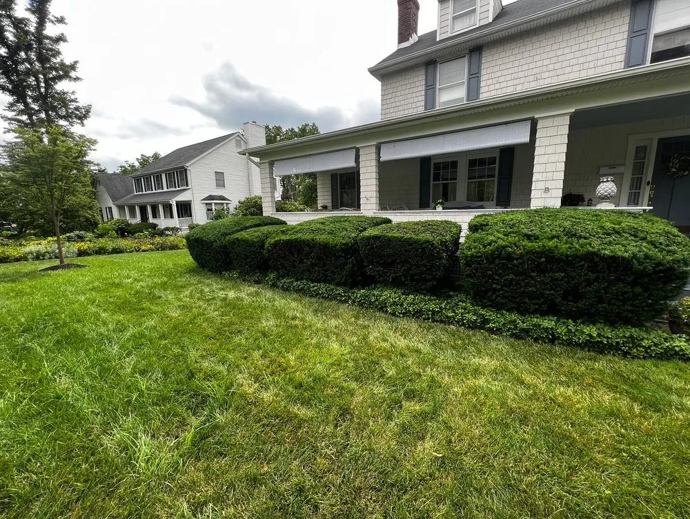 Reliable yard maintenance for residential properties in Chillum, MD by City Landscape