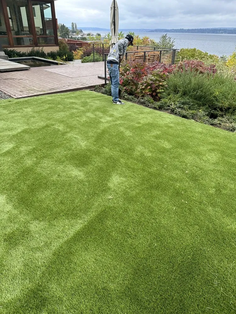 Top-rated lawn care service in Seattle, WA - City Landscaping