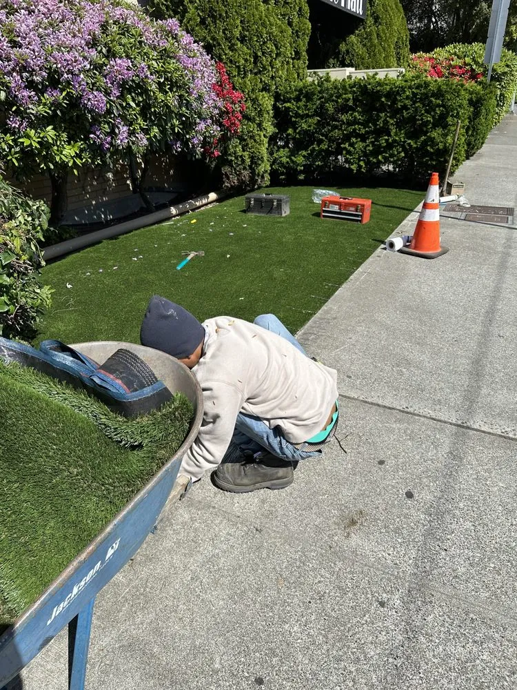 Local landscape design with custom design across Seattle, WA - City Landscaping