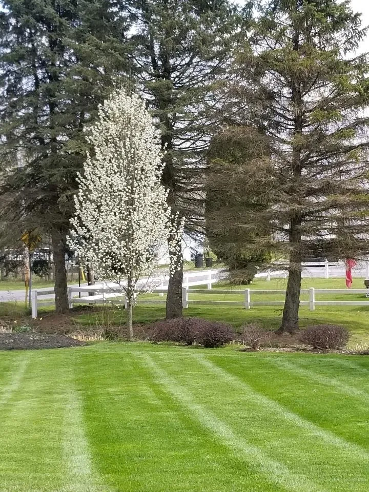 Custom lawn care service for beautiful yards in State College, PA by City Lawn & Landscape
