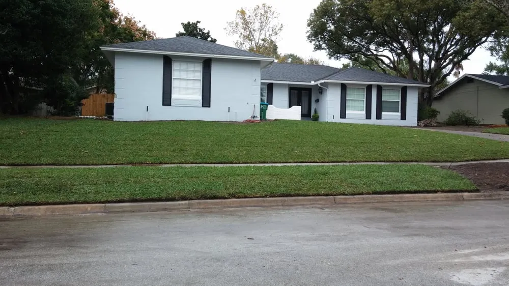 Trusted yard cleanup service in Wesley Chapel, FL by City Living Landscaping