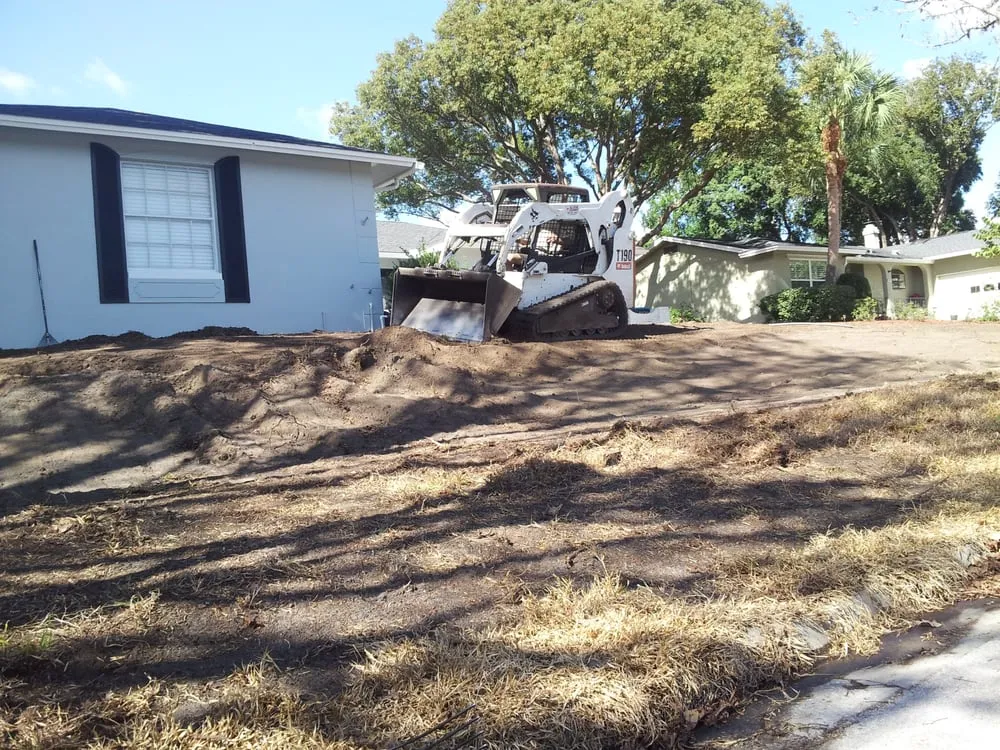 Affordable yard cleanup service in Wesley Chapel, FL - City Living Landscaping