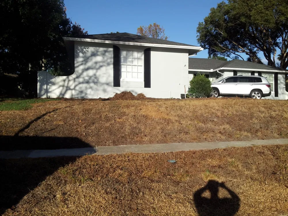 Professional landscape installation in Wesley Chapel, FL - City Living Landscaping