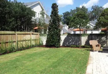 Reliable garden landscaping for outdoor upgrades across Wesley Chapel, FL - City Living Landscaping