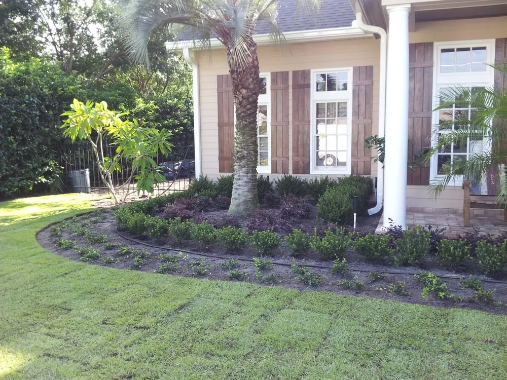 Trusted outdoor landscaping in Wesley Chapel, FL by City Living Landscaping