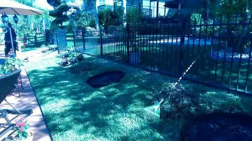 Local landscape design experts serving Wesley Chapel, FL - City Living Landscaping